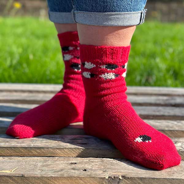 Black Sheep Ruby Socks in WYS Signature 4ply by Winwick Mum - Image 6