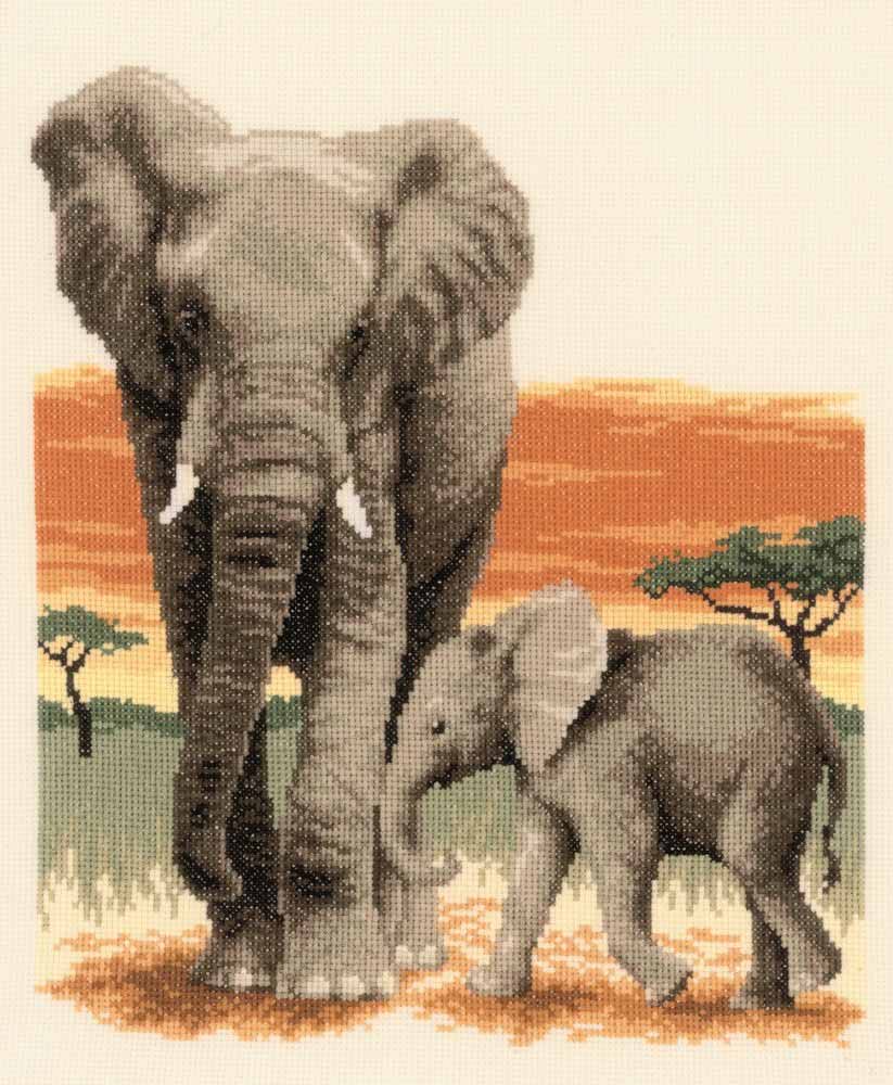 Elephant's Journey