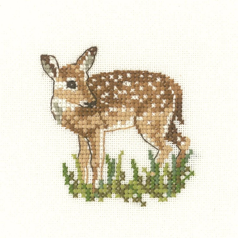 Fawn