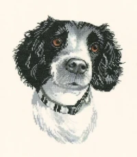 Jake