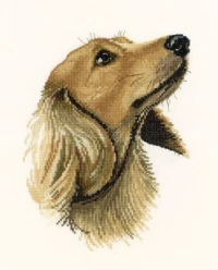 Jasper