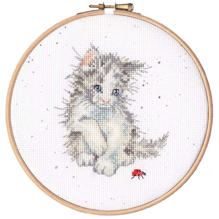 Ladybird - Bothy Threads Cross Stitch Kit