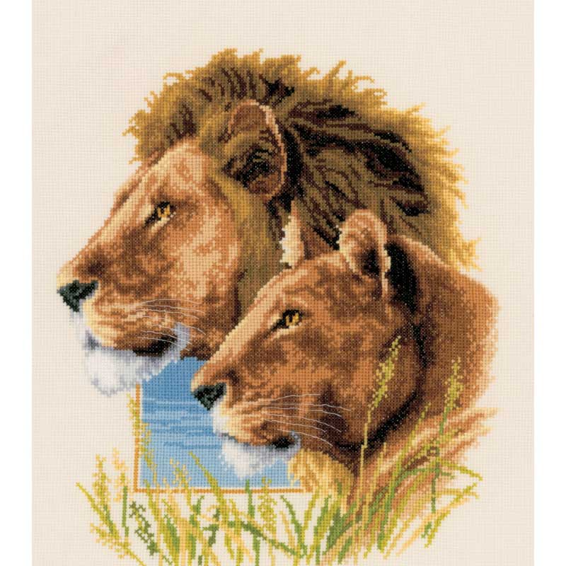 Lion Couple