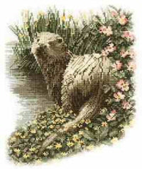 Otter