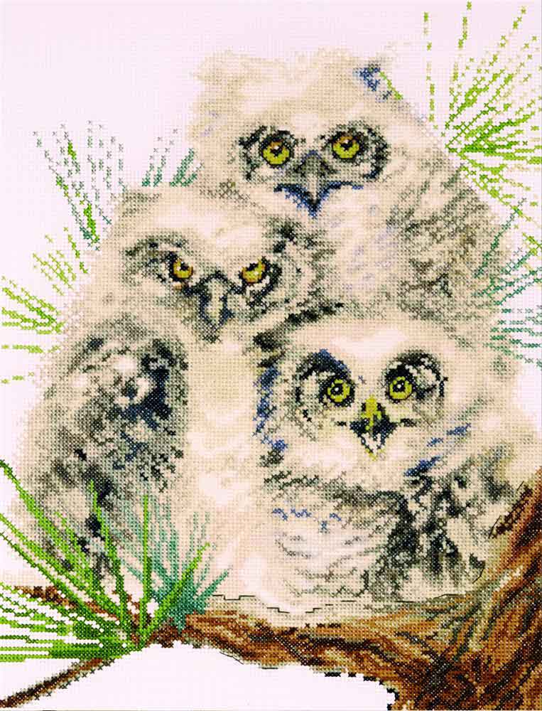 Owl Trio