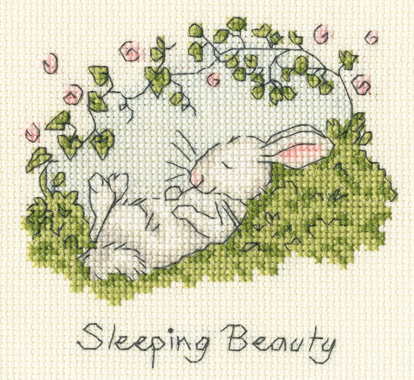 Sleeping Beauty - Bothy Threads Cross Stitch Kit