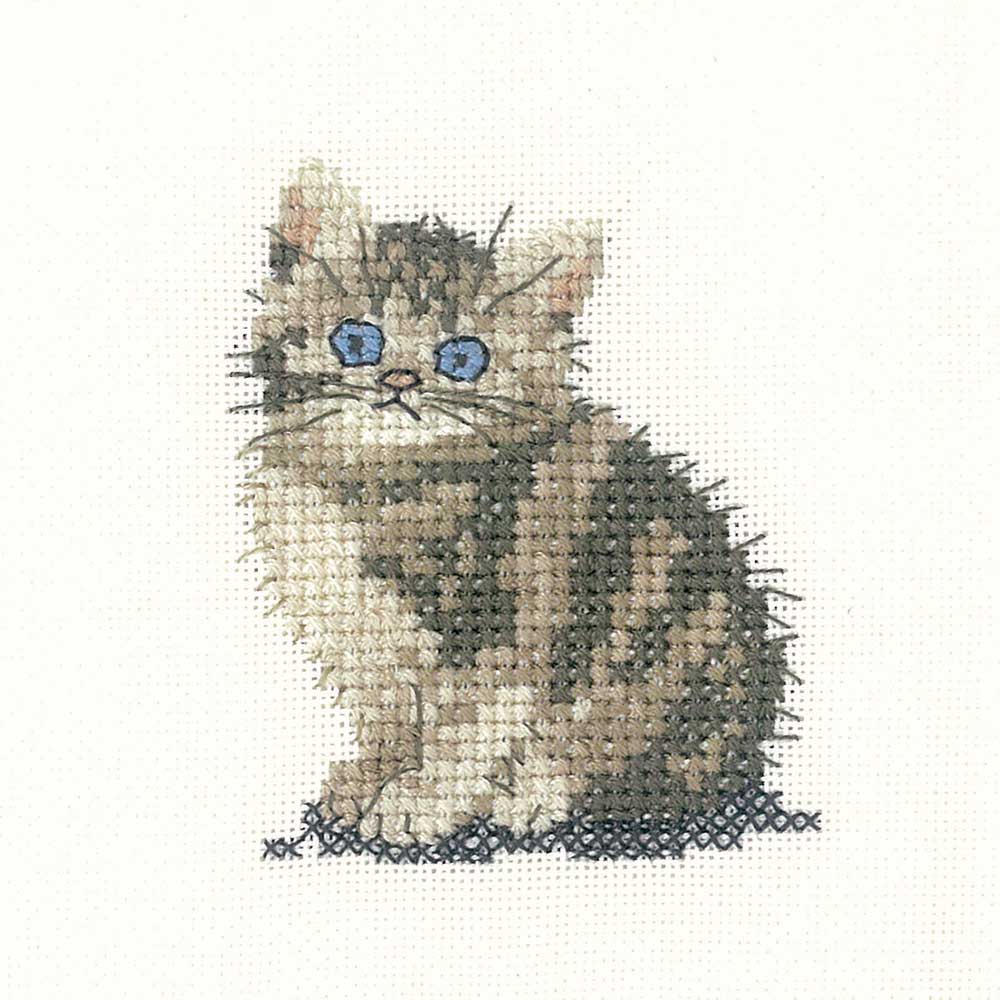 Tabby Kitten Coaster