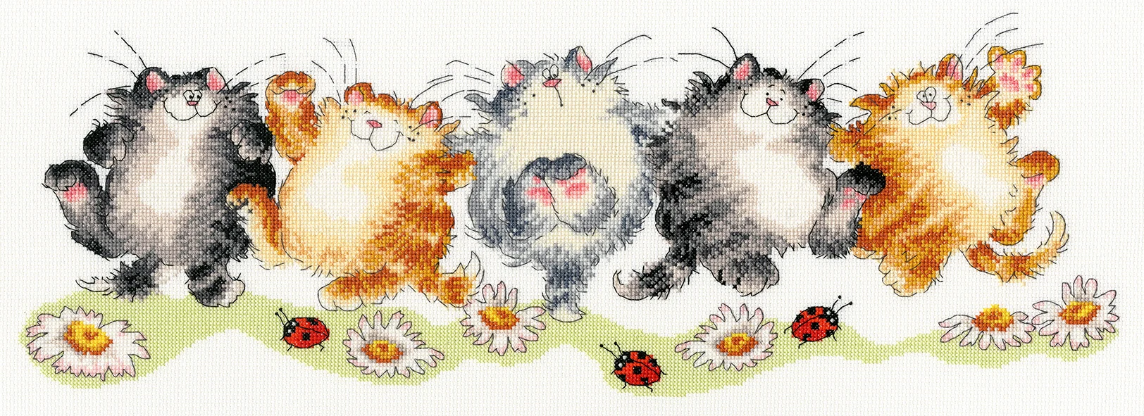 The Cat - Can