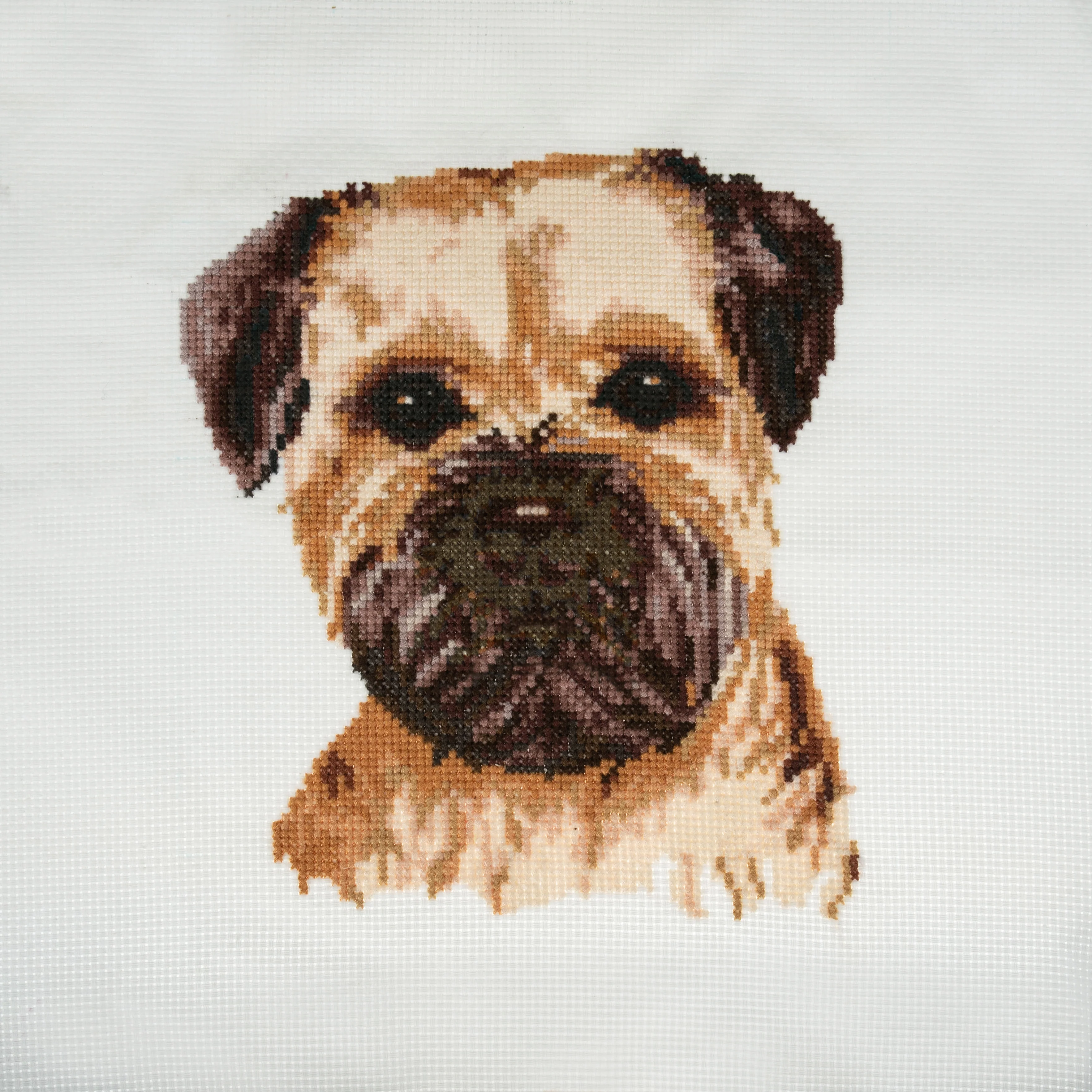 Trimits Counted Cross Stitch Kit, Large: Border Terrier