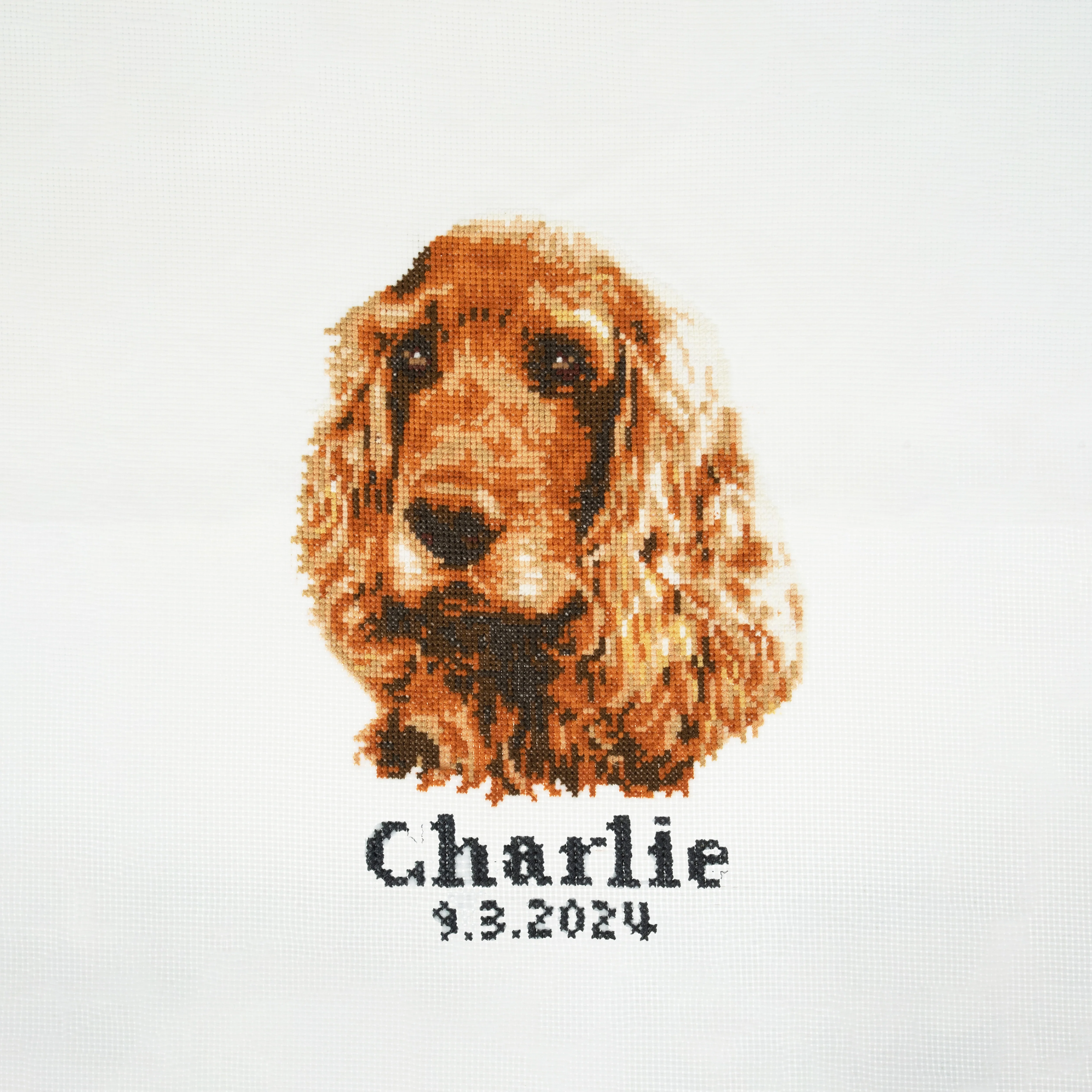 Trimits Counted Cross Stitch Kit, Large: Cocker Spaniel - Image 2