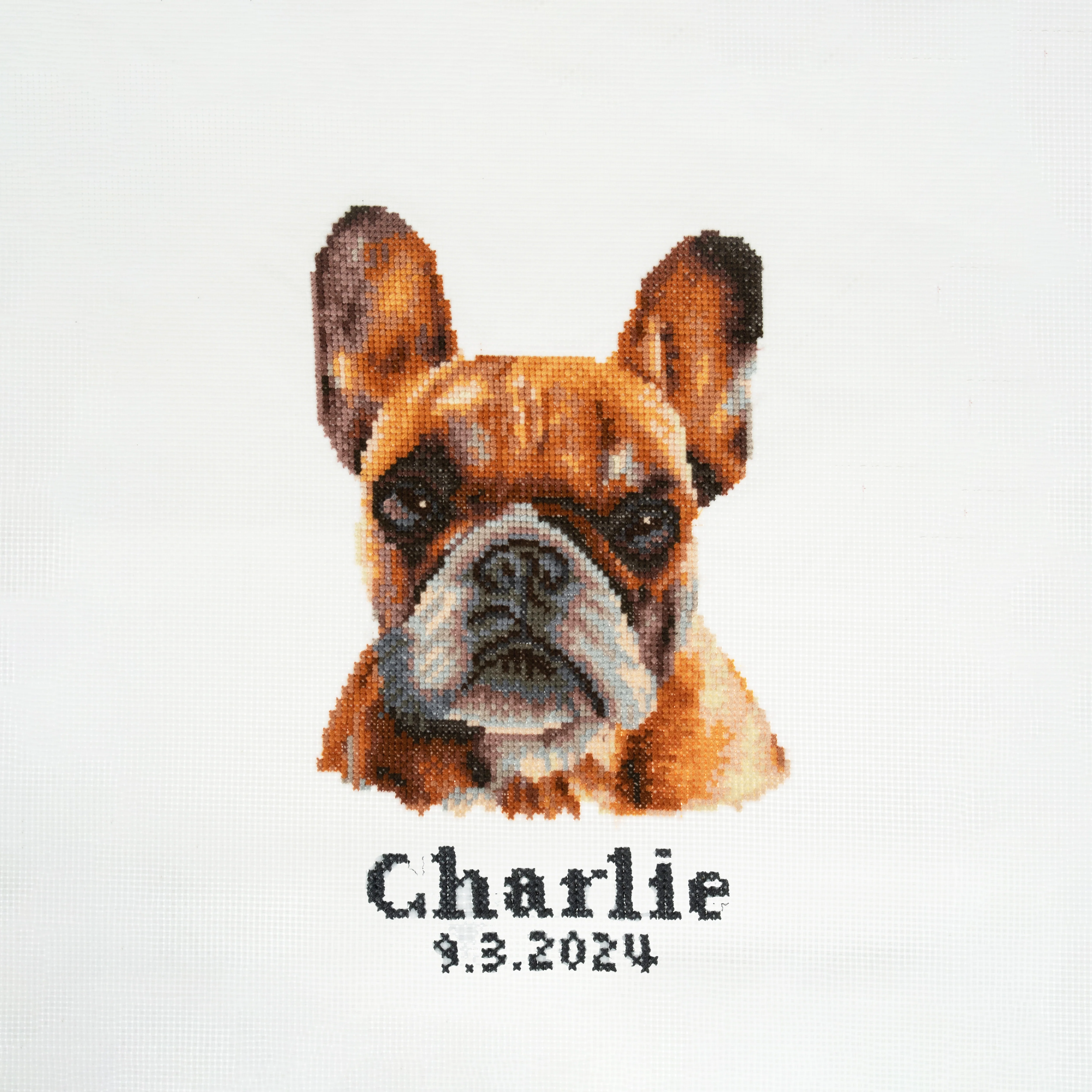 Trimits Counted Cross Stitch Kit, Large: French Bulldog - Image 4