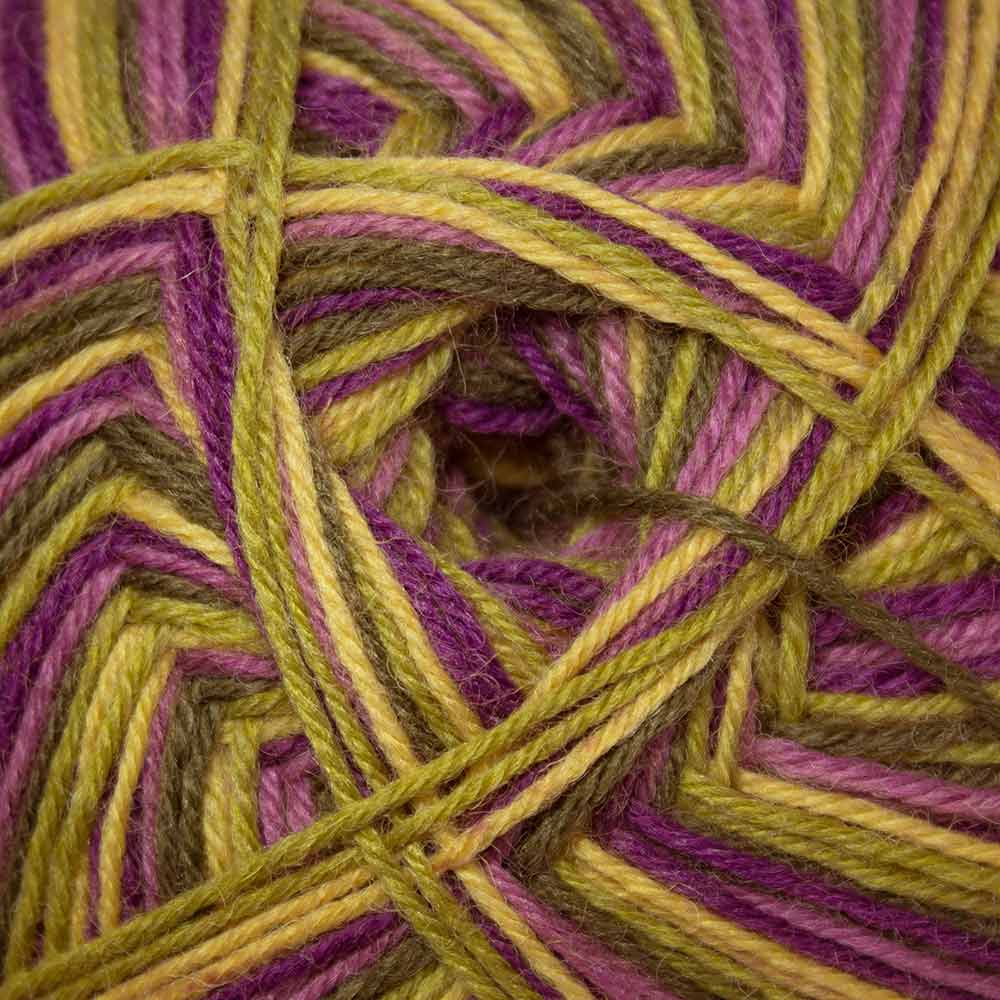 West Yorkshire Spinners Signature 4ply - Image 18