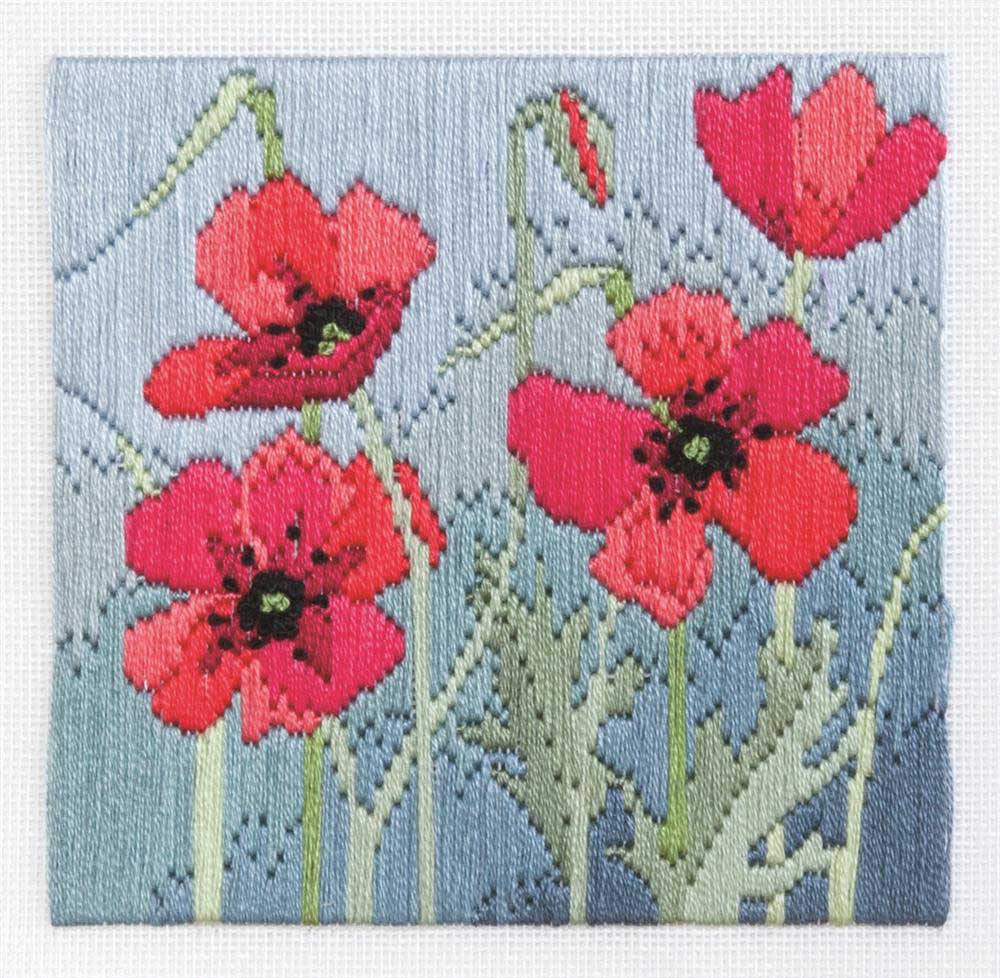 Wild Poppies