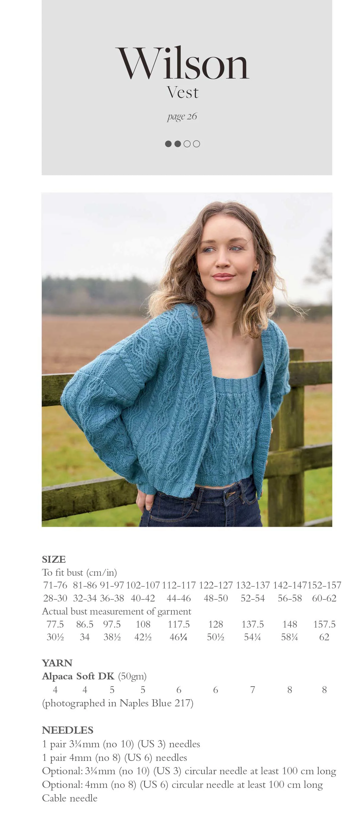 Wilson Vest in Rowan Alpaca Soft Dk - Digital Version ZB328-00015 - Image 2